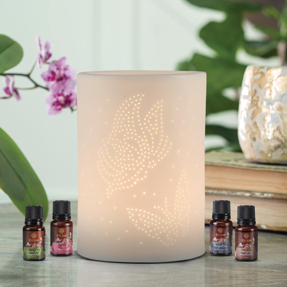 Butterfly Premium Oil Warmer with 4 Fragrance Oil