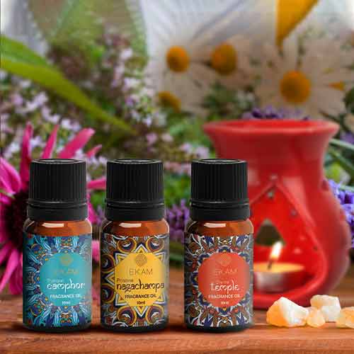 Mandala Series Oil Warmer Set with 3 Fragrance Oils